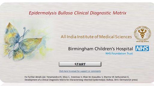 start screen of an online system for the diagnosis of Epidermolysis Bullosa