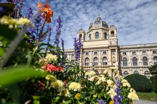 Naturhistorisches Museum Wien im Frühling