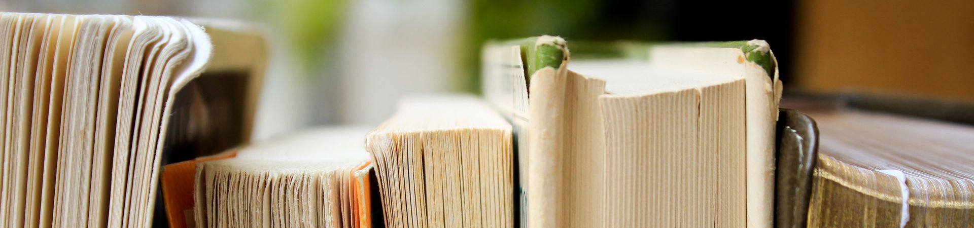 Five huge books with many pages standing beneath each other